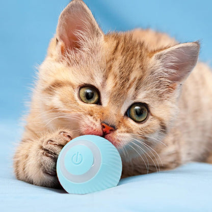 Palla interattiva per gatti