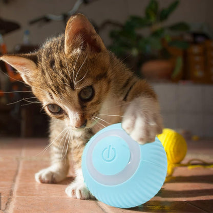 Palla interattiva per gatti
